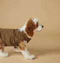 Hundeweste – Sportlicher Look | LuxeStyle