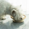 Schleckmatte für Hunde und Katzen – Bild 1 | LuxeStyle