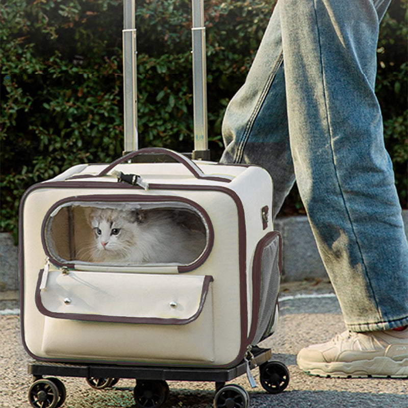 Katzenrucksack mit 32L Kapazität