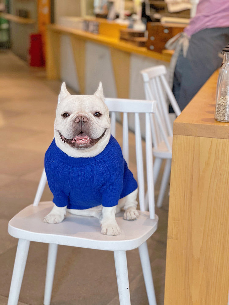 Bichon Corgi Winterpullover Blau – Bild 8 | LuxeStyle