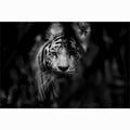 Leinwandbild Tigerkopf Schwarz-Weiss | LuxeStyle