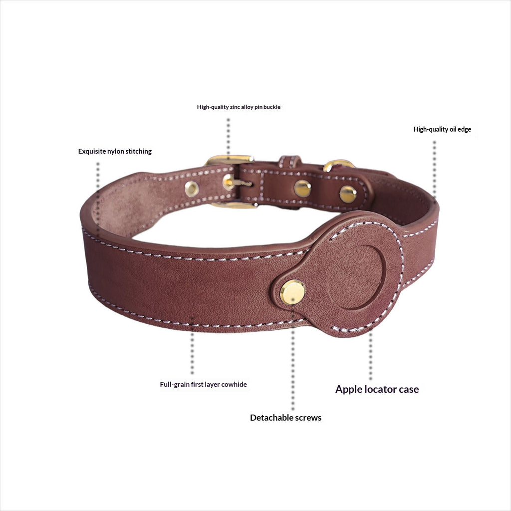 Abnehmbares Lederhalsband für Hunde