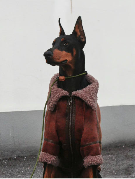 Velours-Wintermantel für grosse Hunde