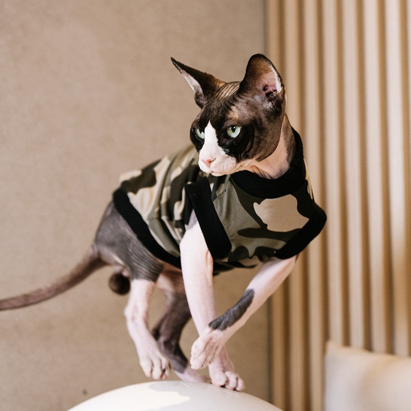 Sommerliches Baumwollshirt für haarlose Katzen
