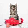Intelligentes, automatisches Katzenspielzeug – Bild 1 | LuxeStyle
