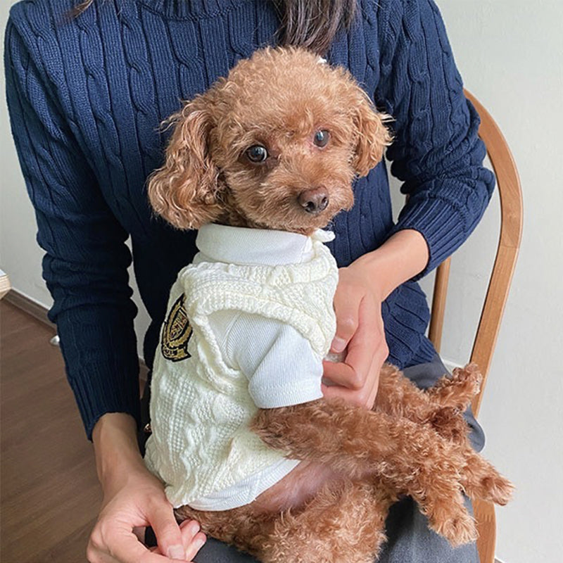 Hundestrickpullover Set in Blau/Weiss – Bild 5 | LuxeStyle