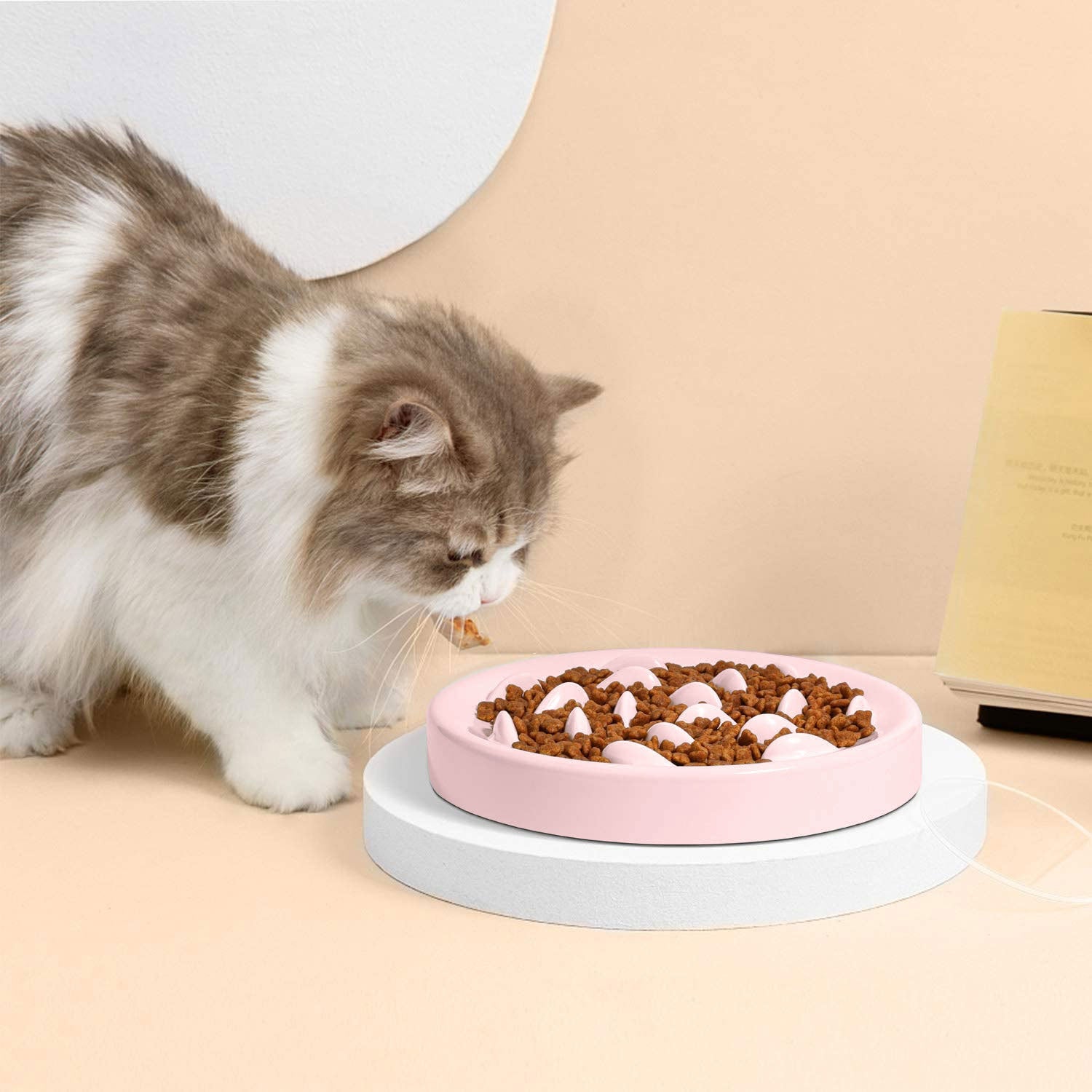 Langsam-Futter-Schüssel für Hund & Katze