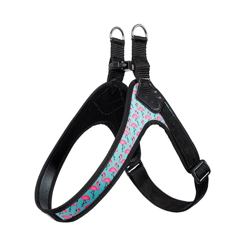 Hundegeschirr aus Leder | LuxeStyle
