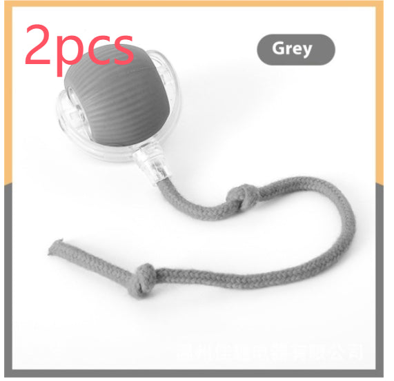 Automatischer Katzenspielball
