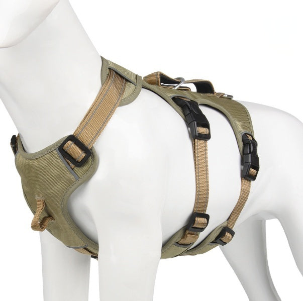 Hundehalsband für grosse Hunde