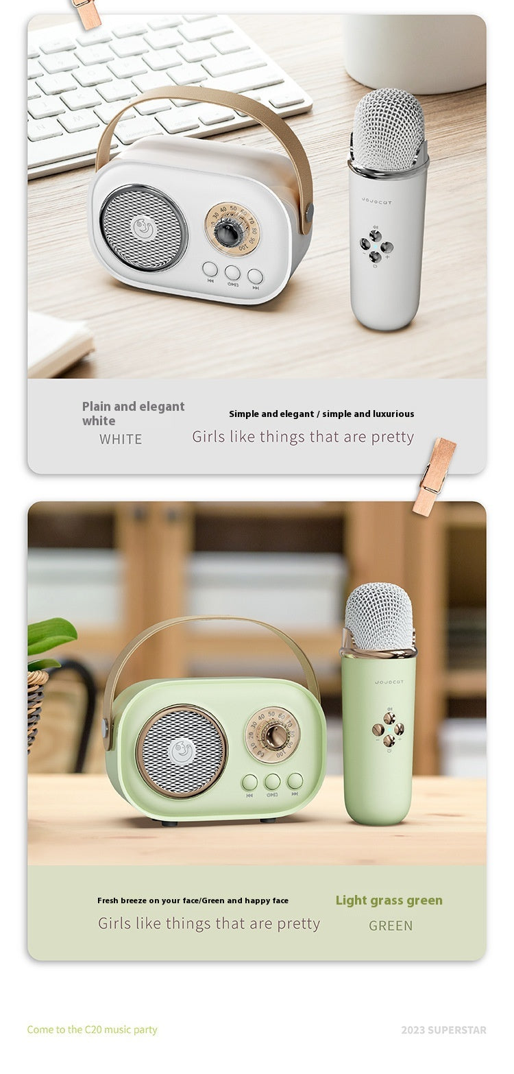 Portables Bluetooth Audio mit kabellosem Mikrofon