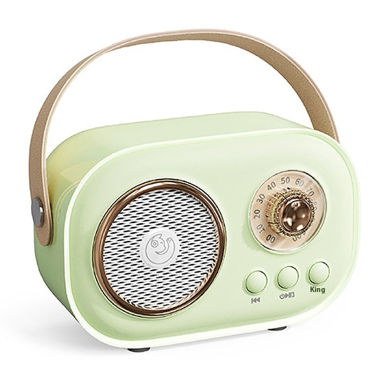 Portables Bluetooth Audio mit kabellosem Mikrofon