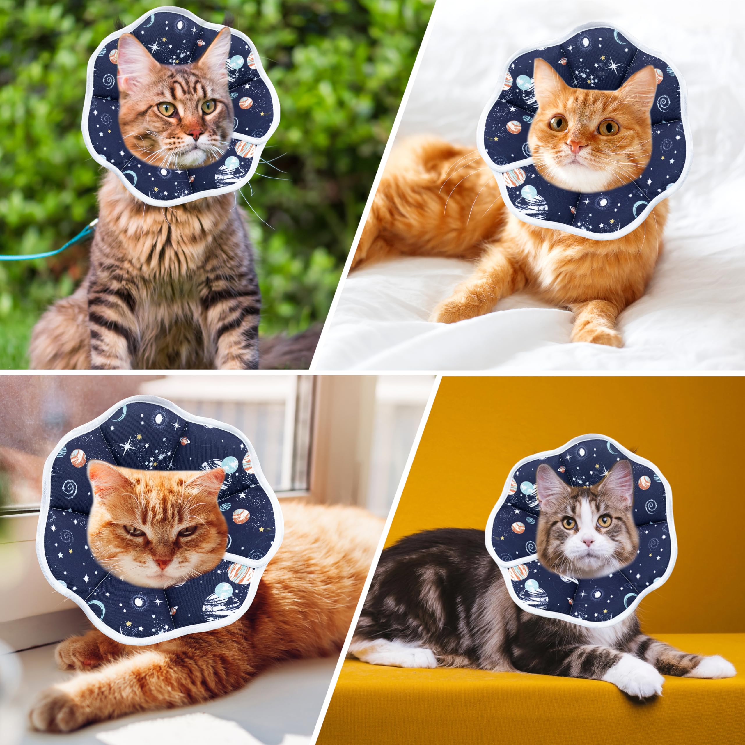 Weicher Halskragen für Katzen & Welpen