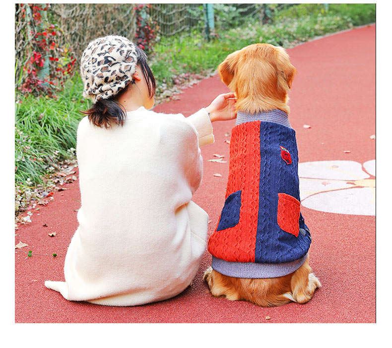 Polarfleece‑Sweater für grosse Hunde – Bild 2 | LuxeStyle