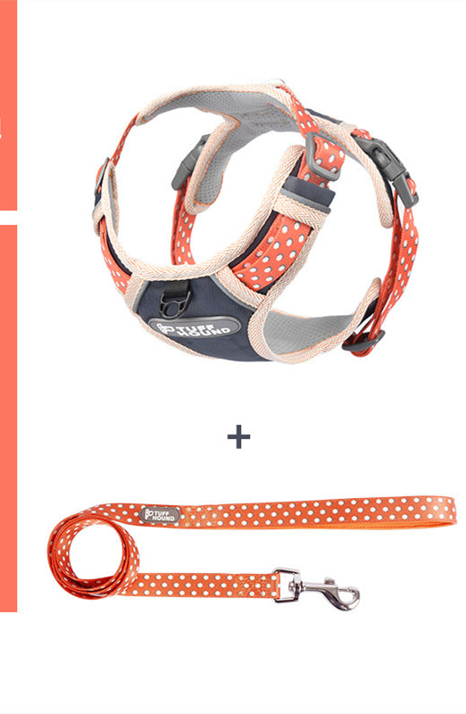 Hundegeschirr mit Leine für Spaziergänge – Bild 3 | LuxeStyle