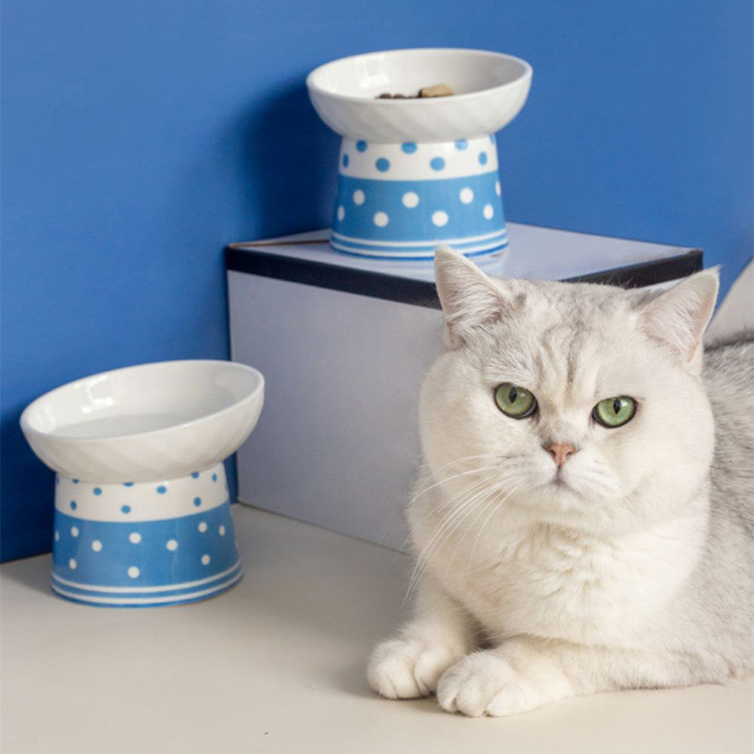 Katzenkeramik-Bowl mit Polka-Dot-Design – Bild 3 | LuxeStyle