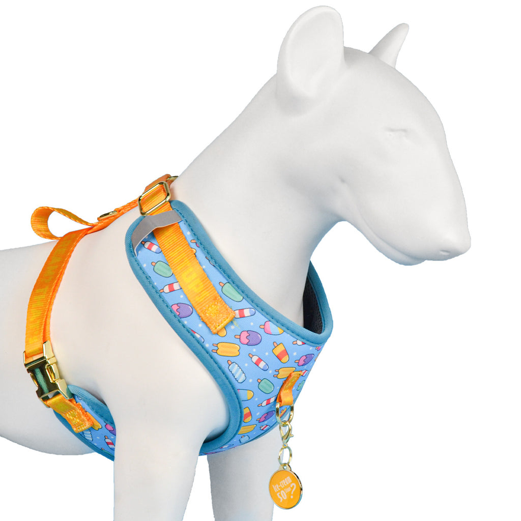 Atmungsaktives Hundehalsband
