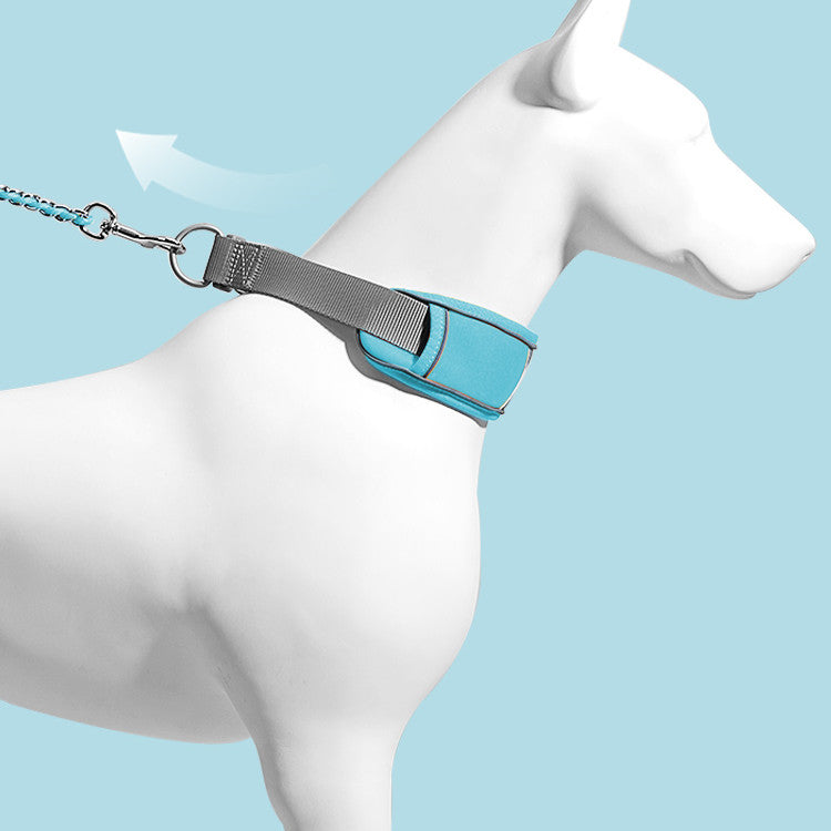 Halsband und Leine für Hunde, explosionsgeschützt – Bild 7 | LuxeStyle