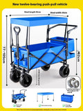 Faltbarer Bollerwagen für Outdoor-Aktivitäten | LuxeStyle