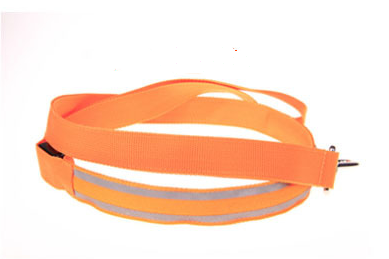 LED-Leuchtleine für Hunde – Bild 2 | LuxeStyle