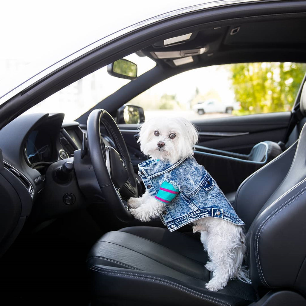 Hundeweste in Jeansoptik