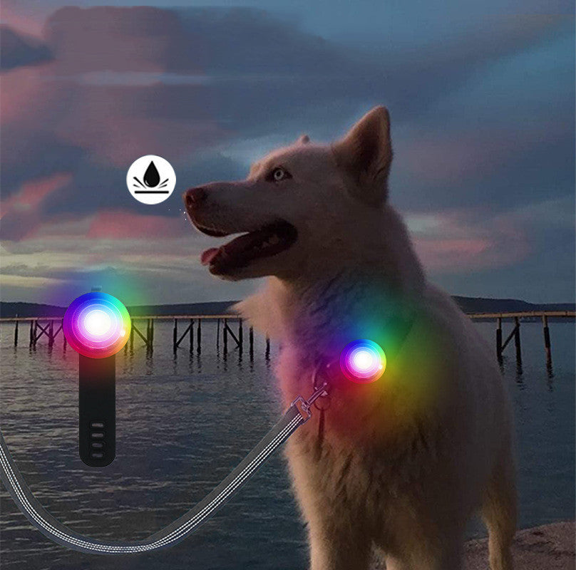 LED-Anhänger für Haustiere mit Ladefunktion – Bild 2 | LuxeStyle