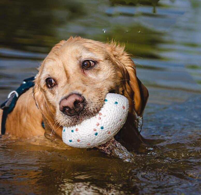 Fussball-Kauspielzeug für Hunde – Bild 4 | LuxeStyle
