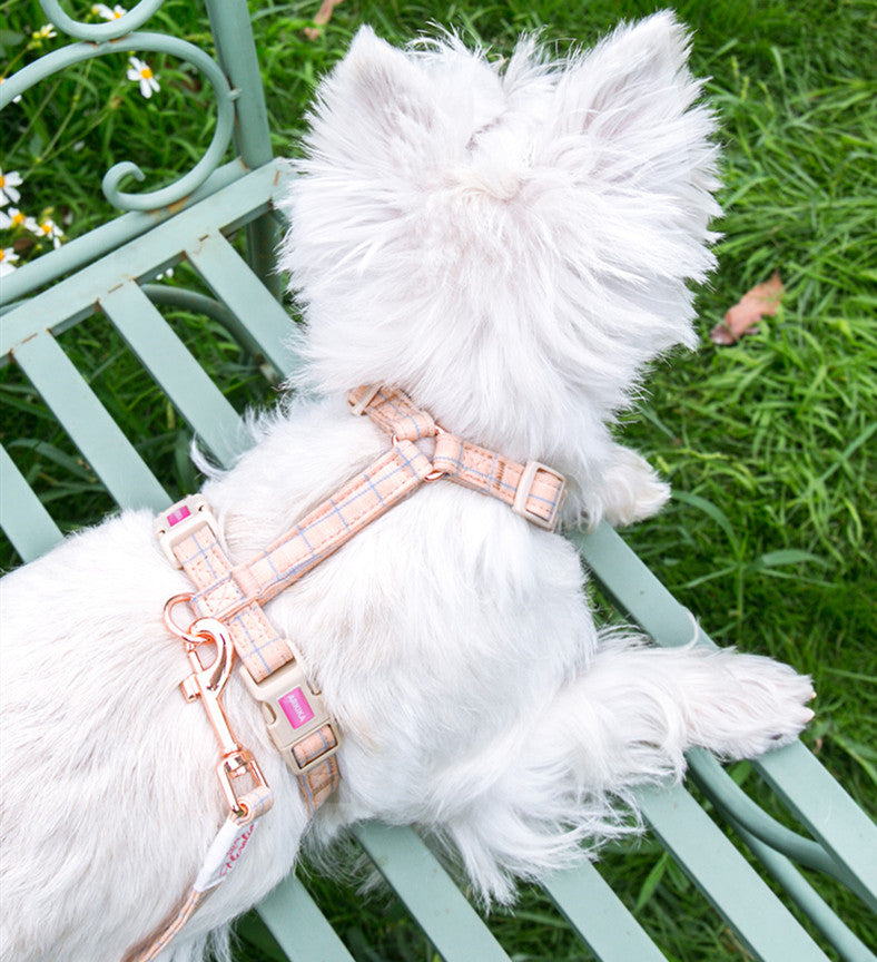 Hundegeschirr, Halsband oder Leine im Gittermuster – Bild 5 | LuxeStyle