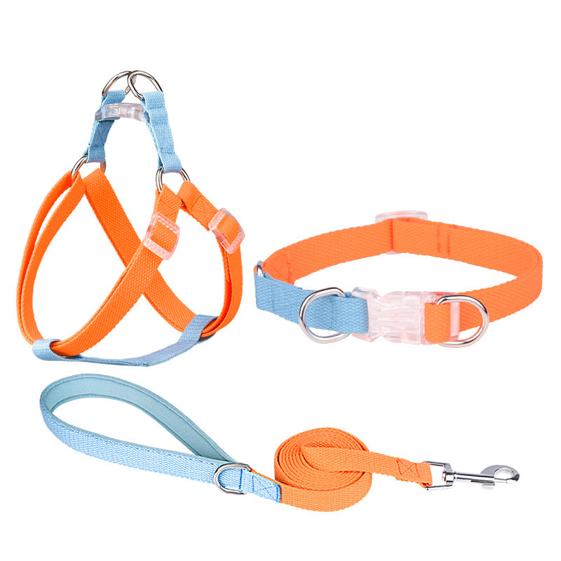 Polyester-Halsband mit Leine und Geschirr – Bild 7 | LuxeStyle