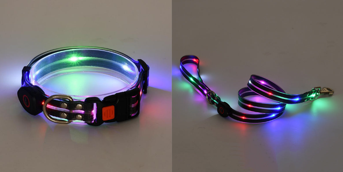 LED Leuchtcollar mit Zugleine, wiederaufladbar – Bild 6 | LuxeStyle