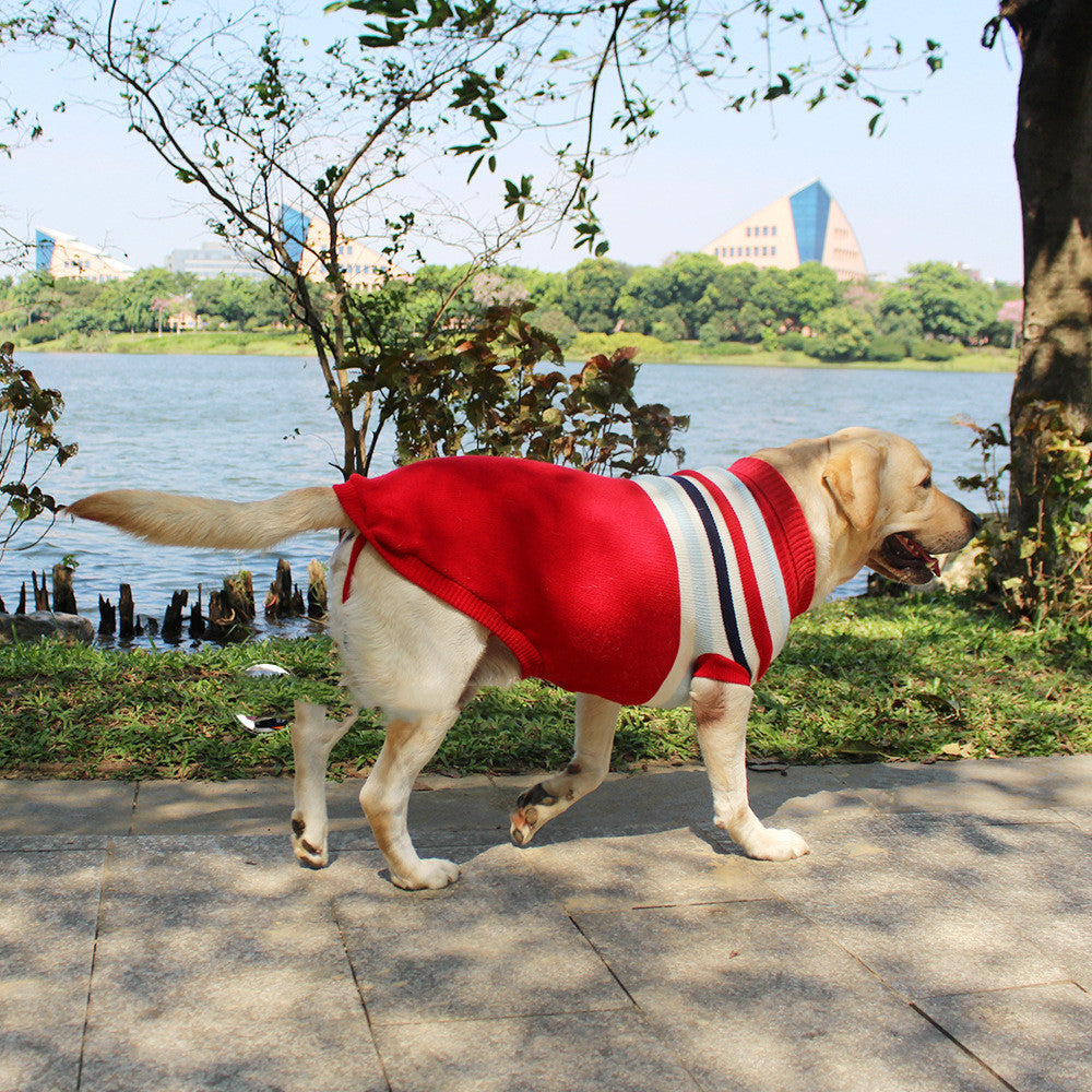 Hundestrickpullover für Herbst & Winter – Bild 3 | LuxeStyle