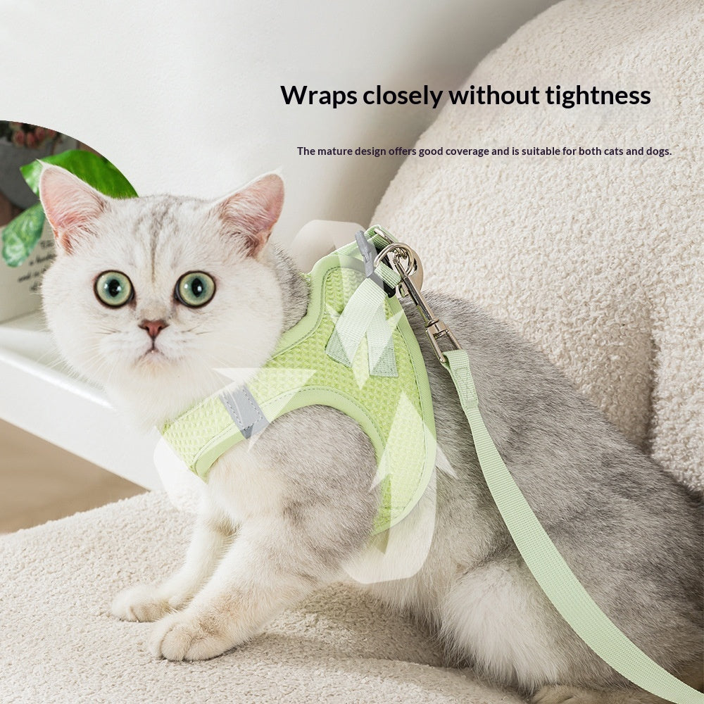 Verstellbares Katzenhalsband mit Leine