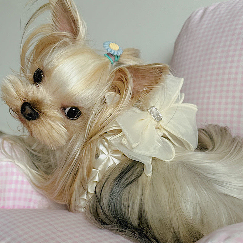 Hundegeschirr mit Leine und Fliege – Bild 2 | LuxeStyle