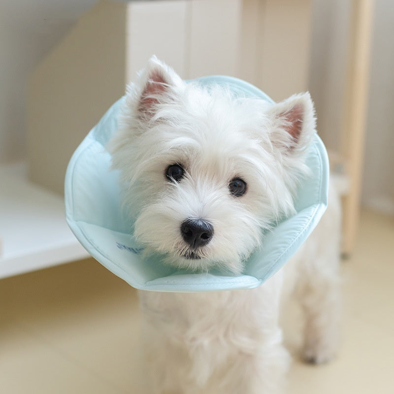 Halskrause für Hunde und Katzen – Bild 4 | LuxeStyle
