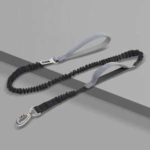 Reissfeste Outdoor-Hundeleine, reflektierend
