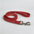 Hunde-Leine aus Echtleder | LuxeStyle