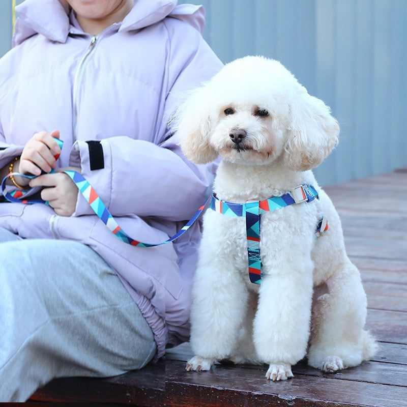 Hundegeschirr mit Leine, bedruckt – Bild 8 | LuxeStyle