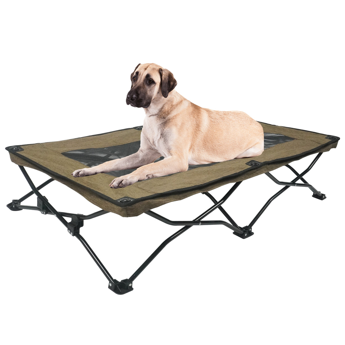 Doppellagige Falt-Hundematte – Bild 3 | LuxeStyle