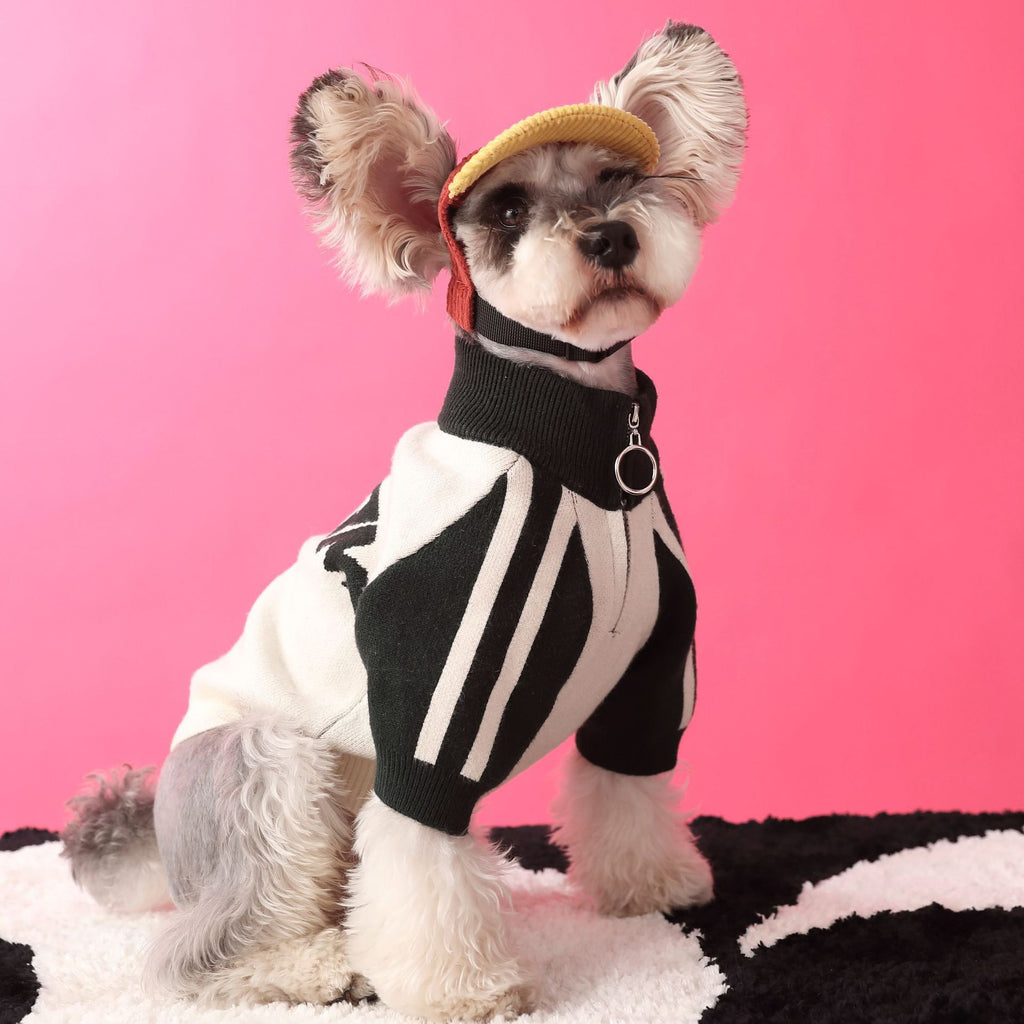 Hundepullover für Sport und Freizeit – Bild 6 | LuxeStyle
