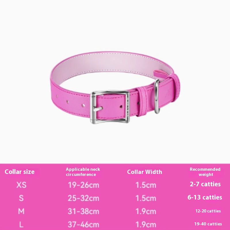 Halsband für Hunde und Katzen – Bild 8 | LuxeStyle