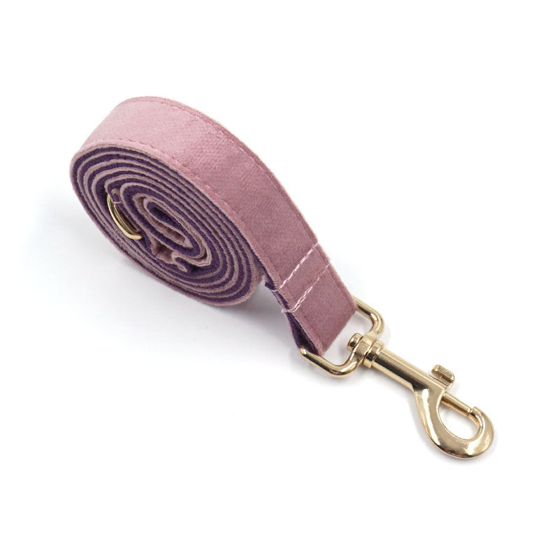 Samt-Hundehalsband mit Leine – Bild 3 | LuxeStyle