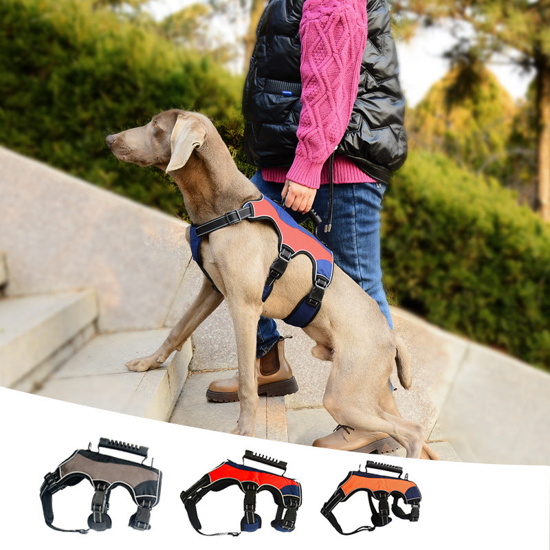 Hunde-Brustgeschirr mit Reflektor – Bild 5 | LuxeStyle