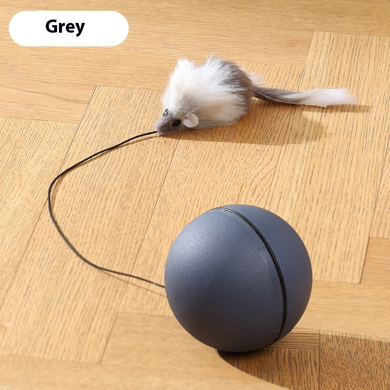 Maus Teaser Ball für Haustiere