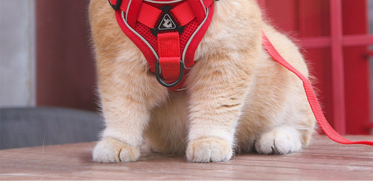 Atmungsaktives Anti-Verlust Geschirr für Hunde & Katzen | LuxeStyle