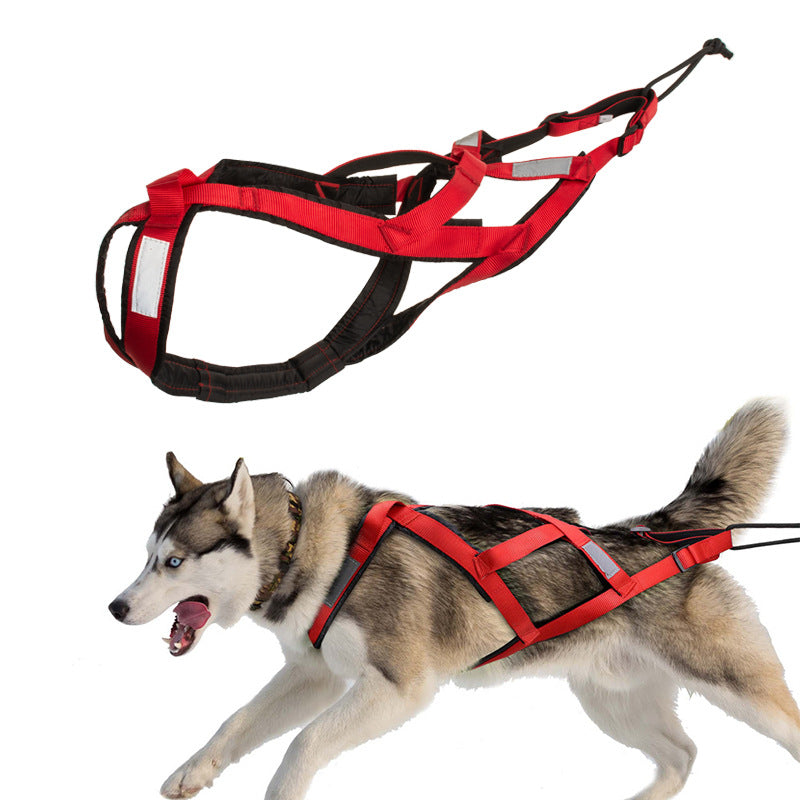 Hundegeschirr für Outdoor-Aktivitäten – Bild 8 | LuxeStyle