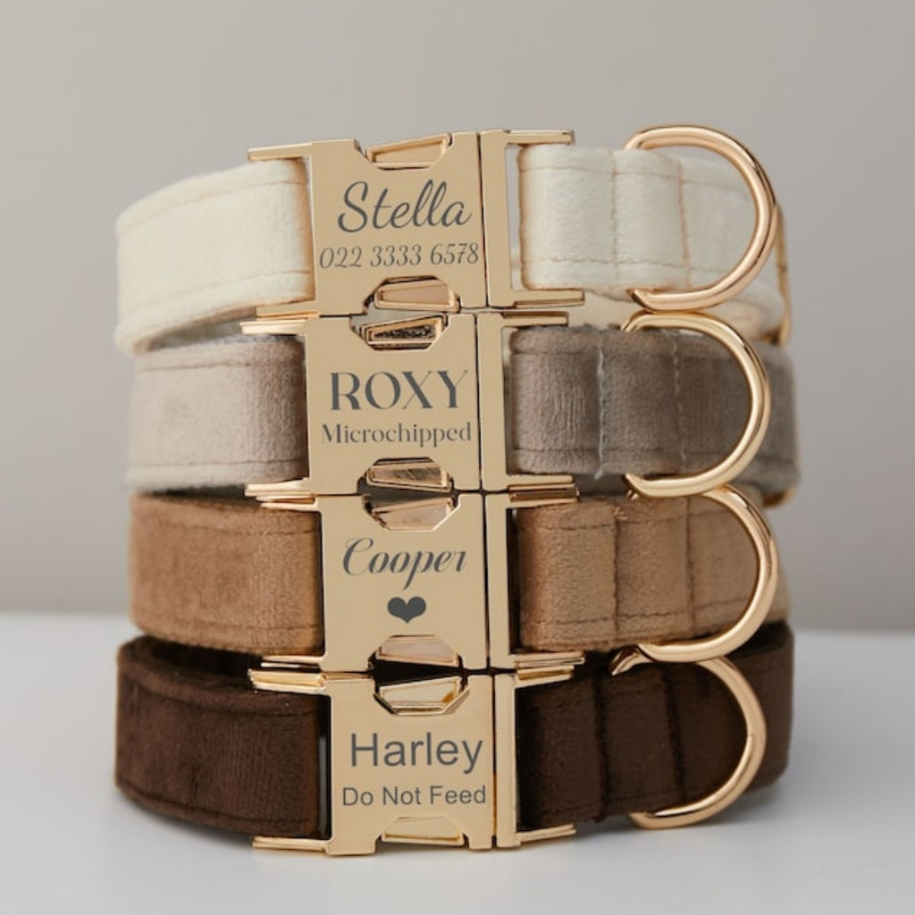 Samt-Hundehalsband mit Leine und Schleife – Bild 10 | LuxeStyle