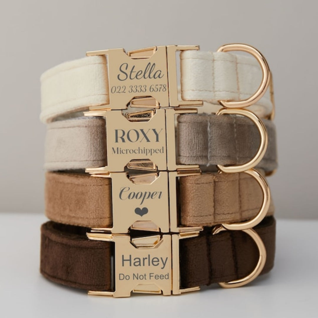 Samt-Hundehalsband mit Leine und Schleife – Bild 10 | LuxeStyle