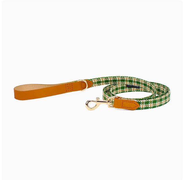 Halsband oder Leine für Hunde – Bild 2 | LuxeStyle
