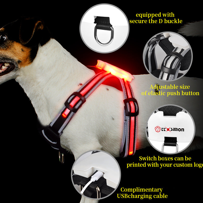 LED-Weste für Hunde