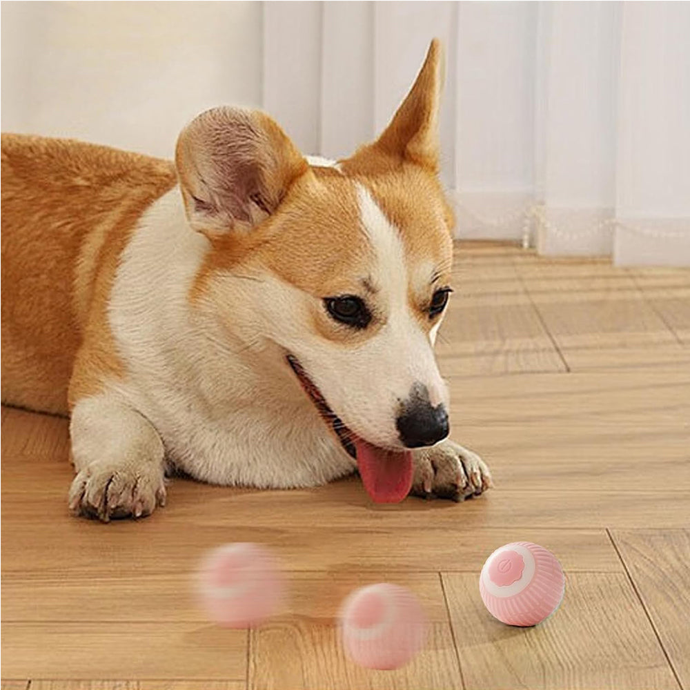 Interaktiver Rollball für Katzen – Ref. CJ-1996404100507553794